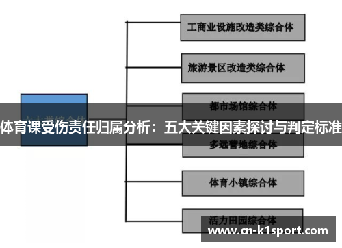 体育课受伤责任归属分析：五大关键因素探讨与判定标准