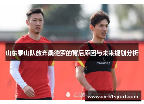 山东泰山队放弃桑德罗的背后原因与未来规划分析
