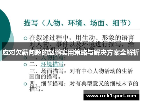 应对欠薪问题的赵鹏实用策略与解决方案全解析