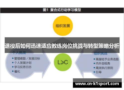 退役后如何迅速适应教练岗位挑战与转型策略分析