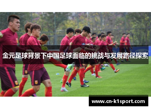 金元足球背景下中国足球面临的挑战与发展路径探索